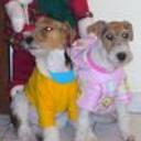 Neo y brandy