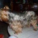 Chiki