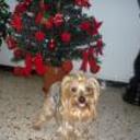 Chiki