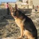 Neron