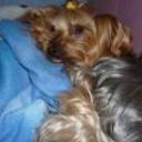 Chiki