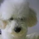 Cleto