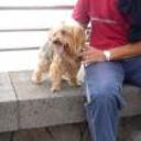 Chiki