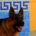 Ralf