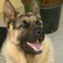 Tayson