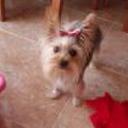 Moly