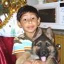 Gurko