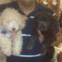 Rocco