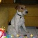 Brandy
