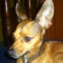 Rufi