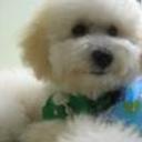 Toby