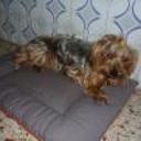 Chiki