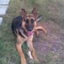 Jack