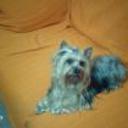 Trufa
