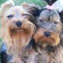 Benjamin y bianca