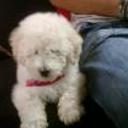 Felipe
