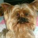 Cuca