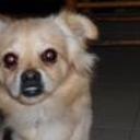 Roky