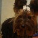 Molly