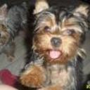 Juanita y cachito