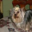 Lola