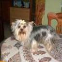 Lola
