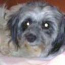 Rosalind