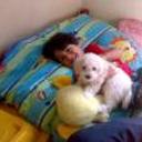 Copito