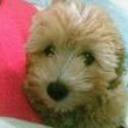 Junior