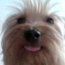 Chiki