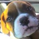 Madox