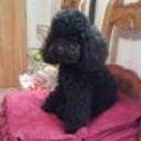 Lucy