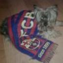 Rayo