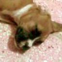 Nena