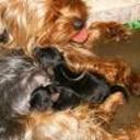 Ambar y tito