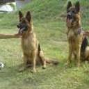 Kiara y tor