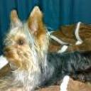 Facu