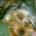 Facu