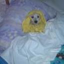 Lukitiño