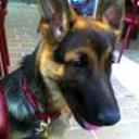 Moro
