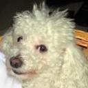 Tuly