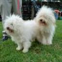 Spooky y sugar