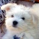 Roky
