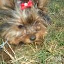 Betty