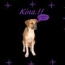 Kina