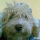 Junior