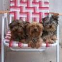 Lola y benja