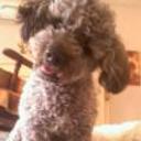Motty