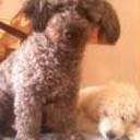 Motty y blondie