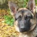 Neska